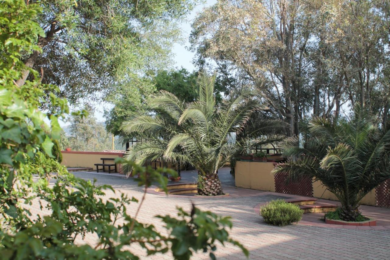 Agriturismo E Antica Fattoria Matteu Acomodação com café da manhã Teulada Exterior foto